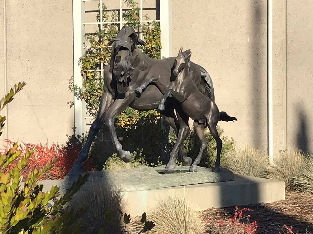 Trione Vineyards and Winery-Geyserville必去景点