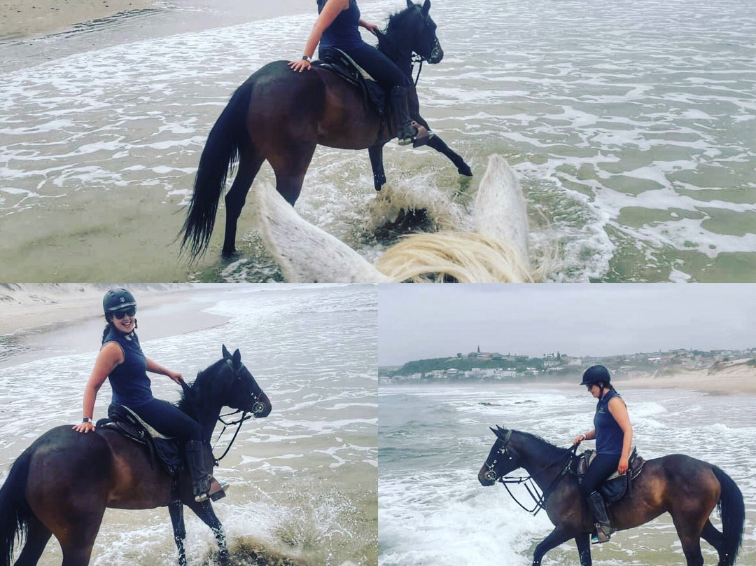 Wild Coast Horse Riding Adventures景点图片