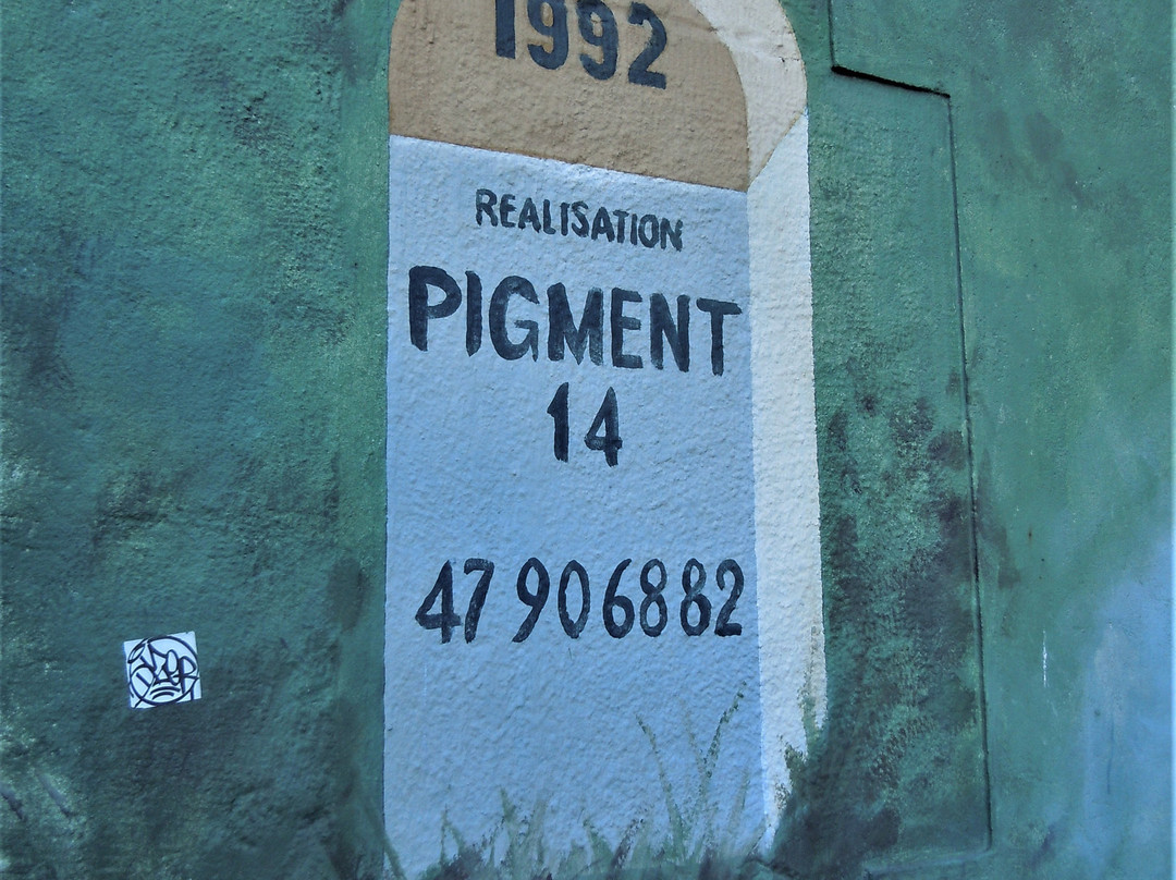 Fresque La Montgolfiere景点图片