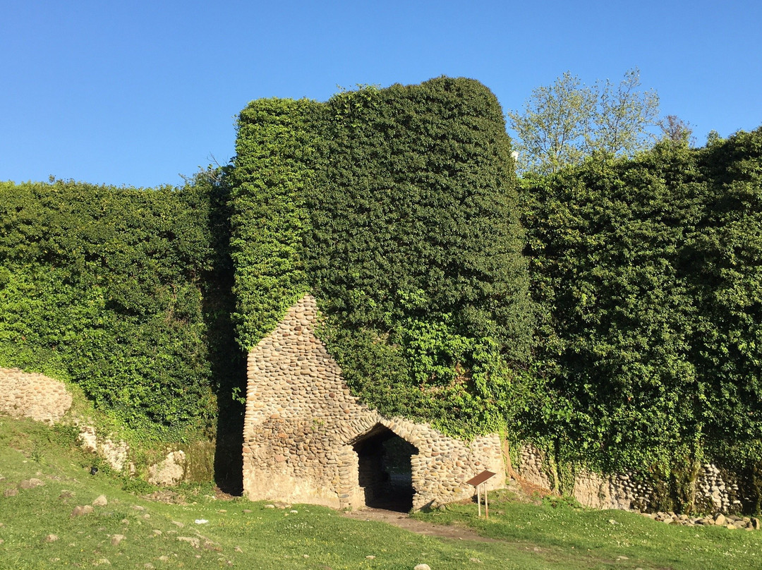 Zugdidi Botanical Garden-祖格迪迪必去景点