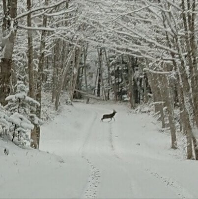 Tsurumi Pass-鹤居村必去景点