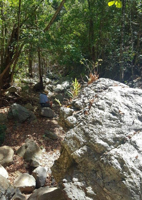 Airlie Creek Track-艾尔利滩必去景点