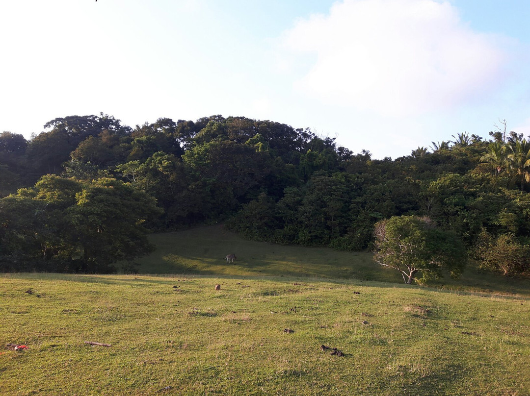 Mt. Daguldol景点图片