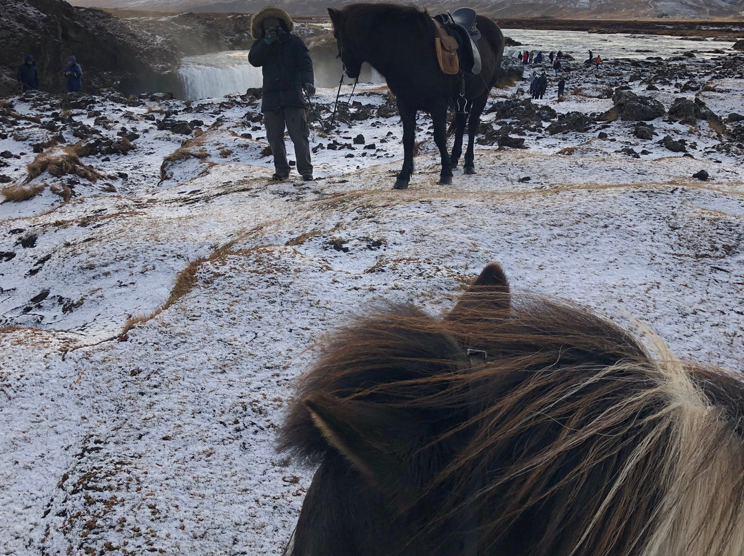 Eyjardalsa-胡萨维克必去景点