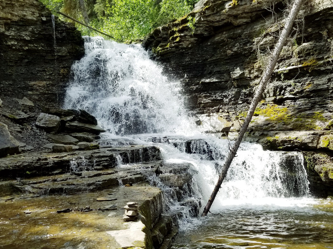 Quality Falls Hiking Trail-Tumbler Ridge必去景点