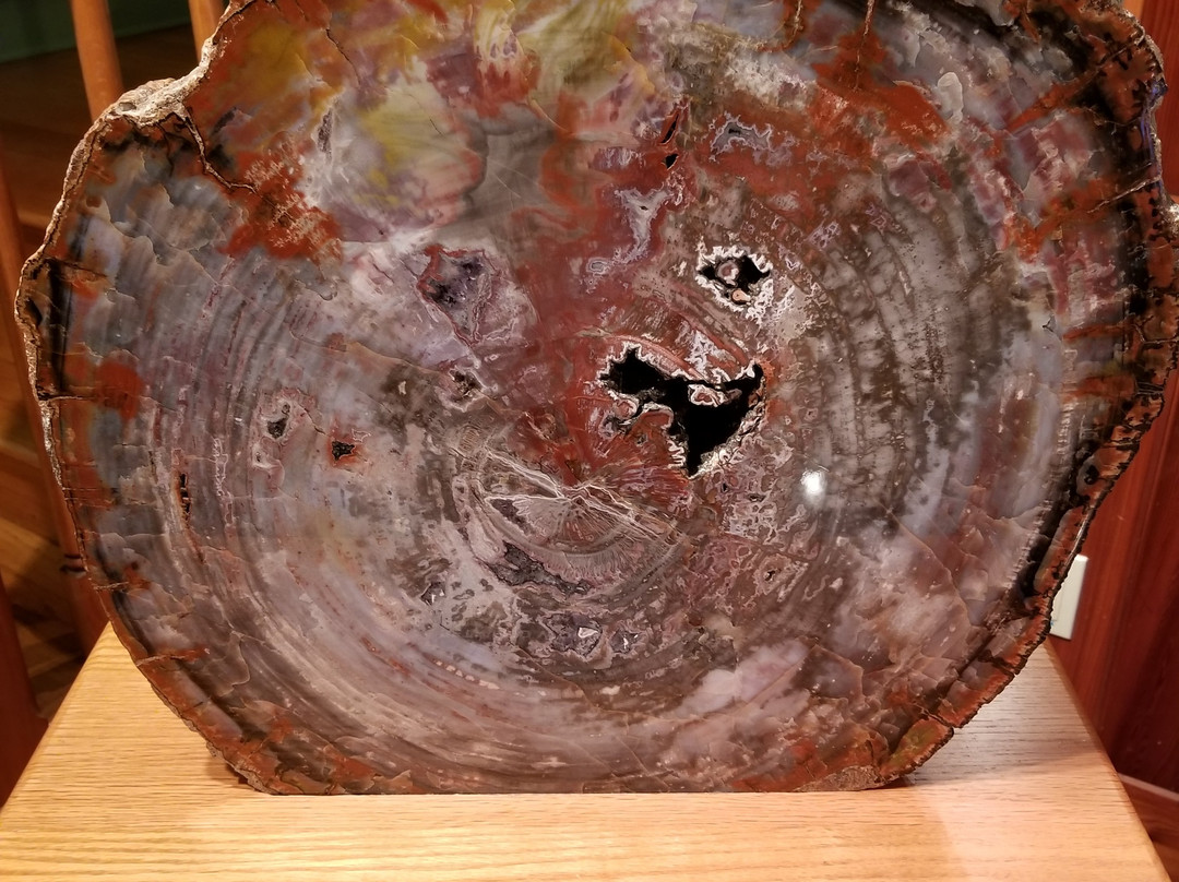 Gillespie Museum-迪兰必去景点