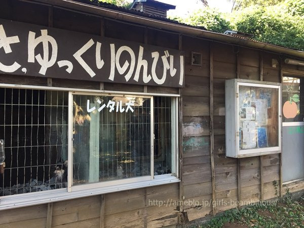 Matsumoto Farm-真鹤町必去景点