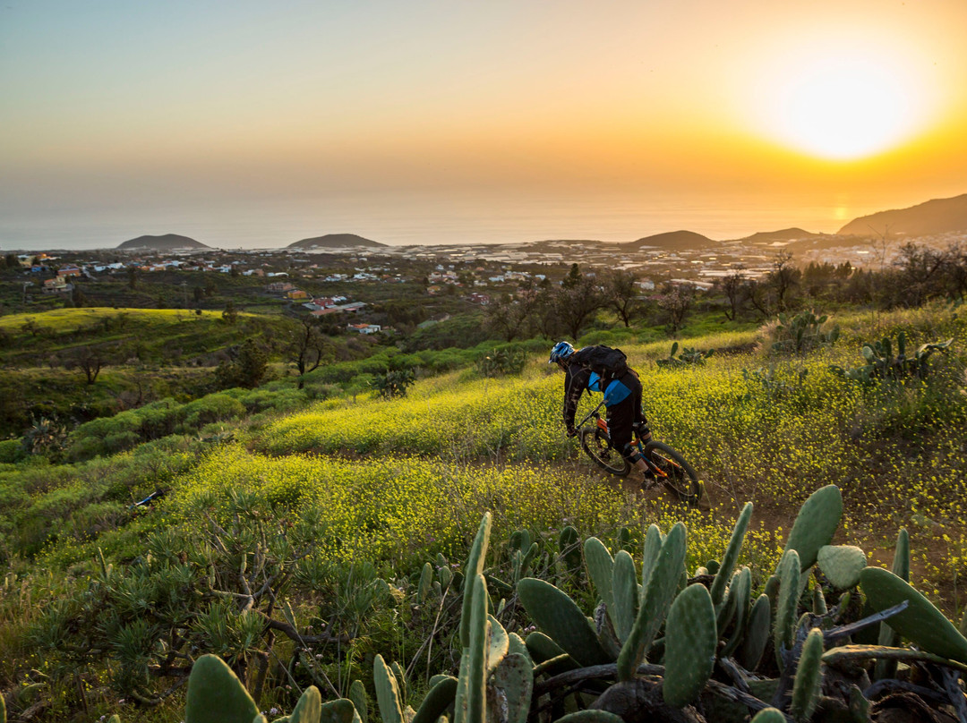 Emotion Cycling-Los Llanos de Aridane必去景点