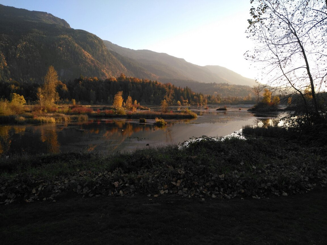 Cheam Lake Wetlands Regional Park景点图片