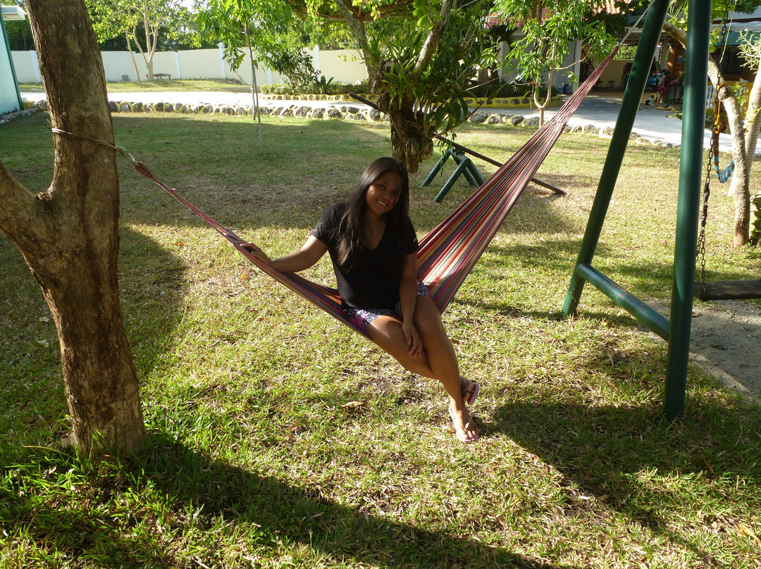 Nickles Park Resort主图