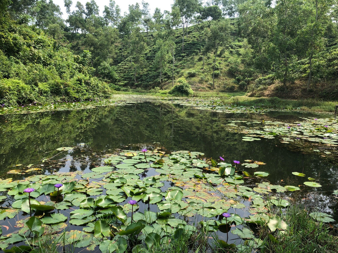 Madhabpur Lake景点图片