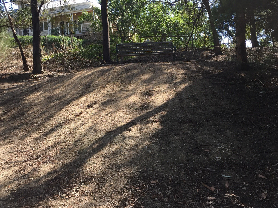 Poverty Point-巴拉瑞特必去景点