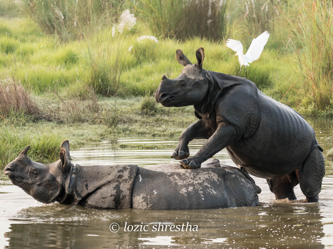 伊甸园丛林度假村主图
