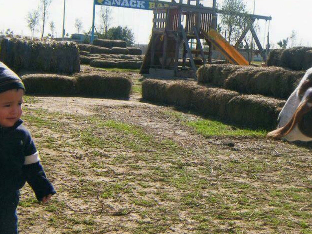 Don Wes Flea Market-Donna必去景点