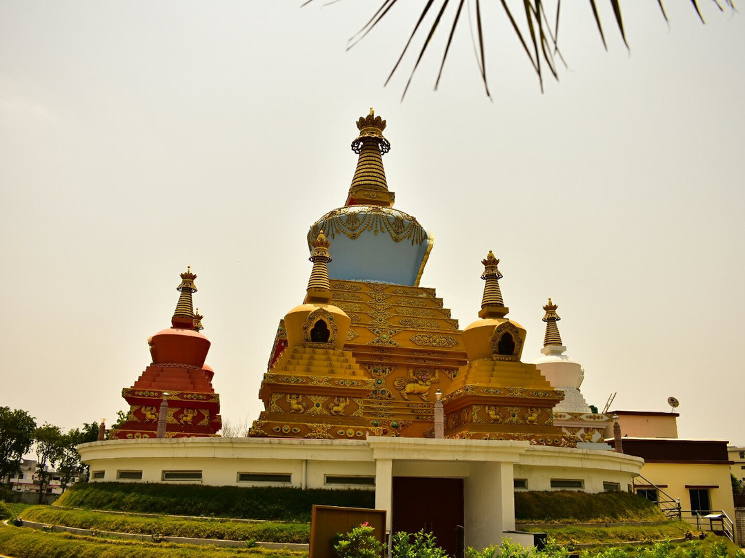 Palyul Namdroling Temple景点图片