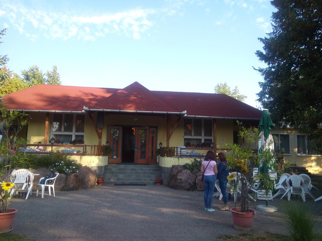 Szihalom酒店住宿-Hotel Ametyst