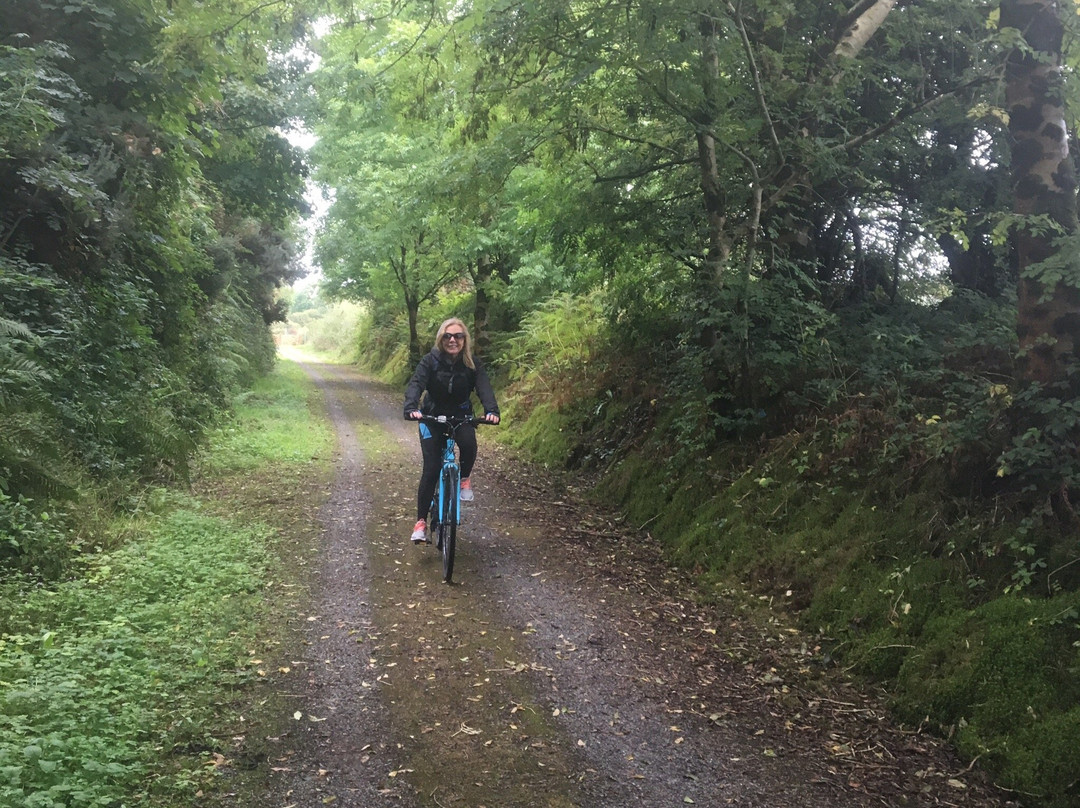 Pedal Pursuits Bike Hire-利默里克必去景点