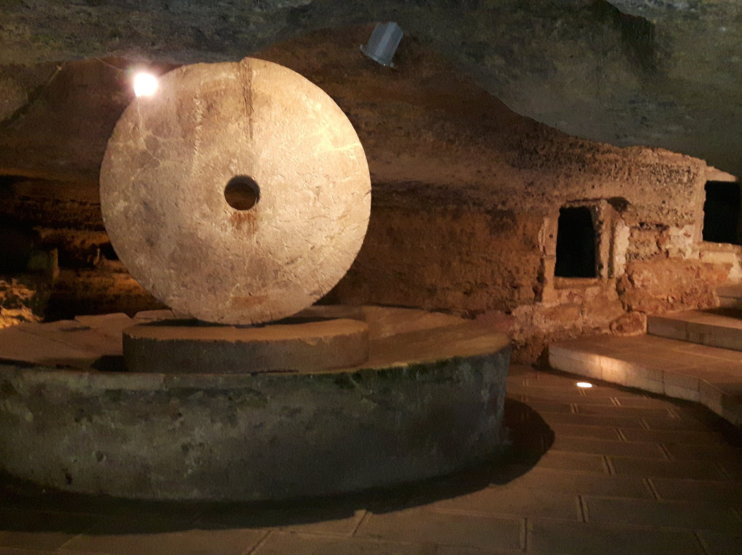 Antichi Frantoi Ipogei