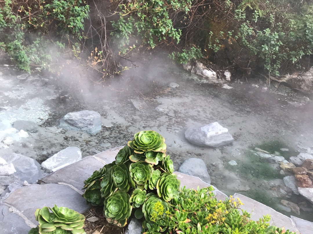 Hotel Termales Del Ruiz主图