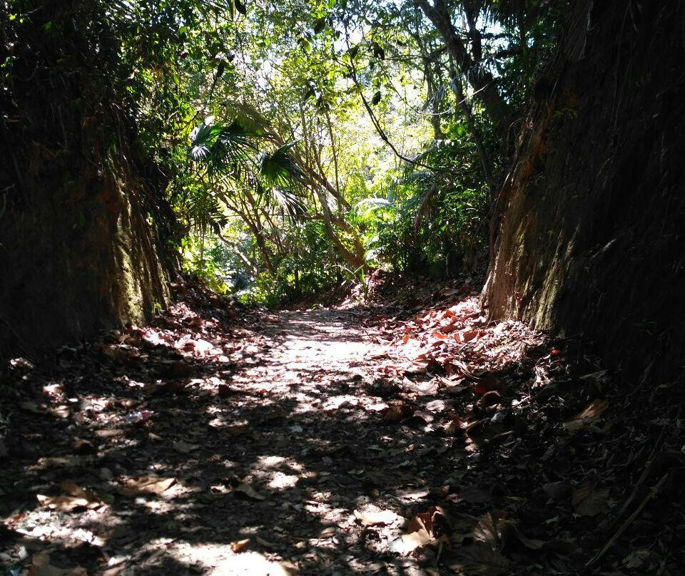 Nusa Kambangan Island-Cilacap必去景点