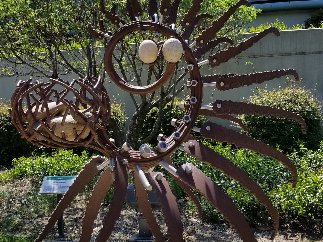 Redding Sculpture Garden景点图片