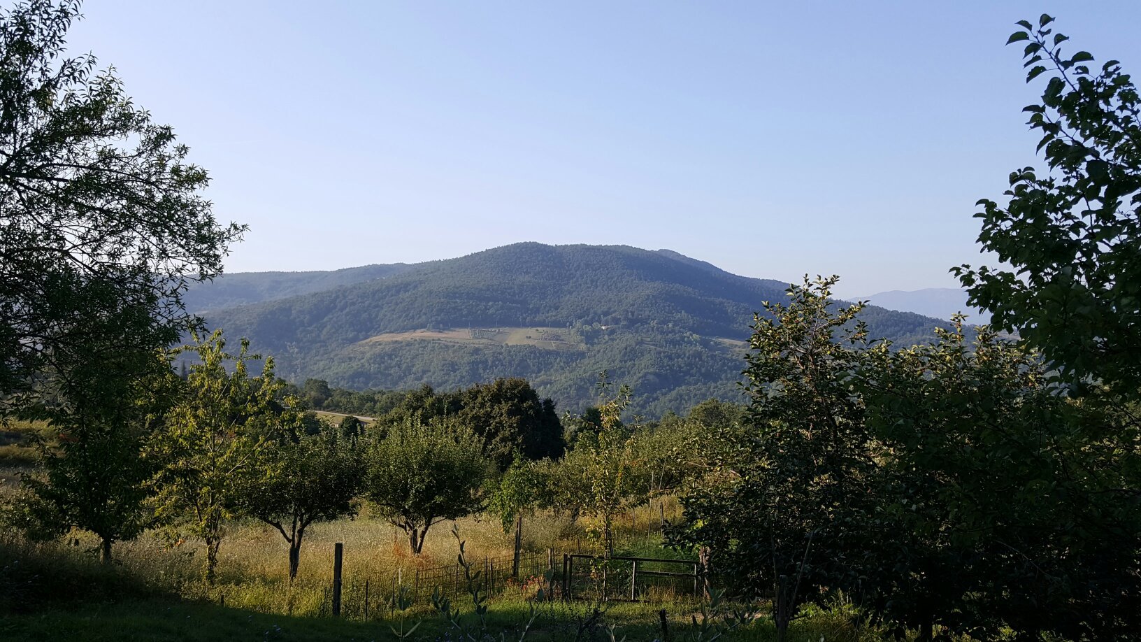 Il Vigneto-官方