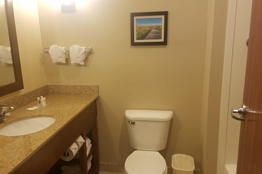 Comfort Suites Glendale - State Farm Stadium Area主图