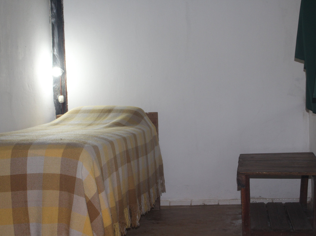 France Amazonia主图