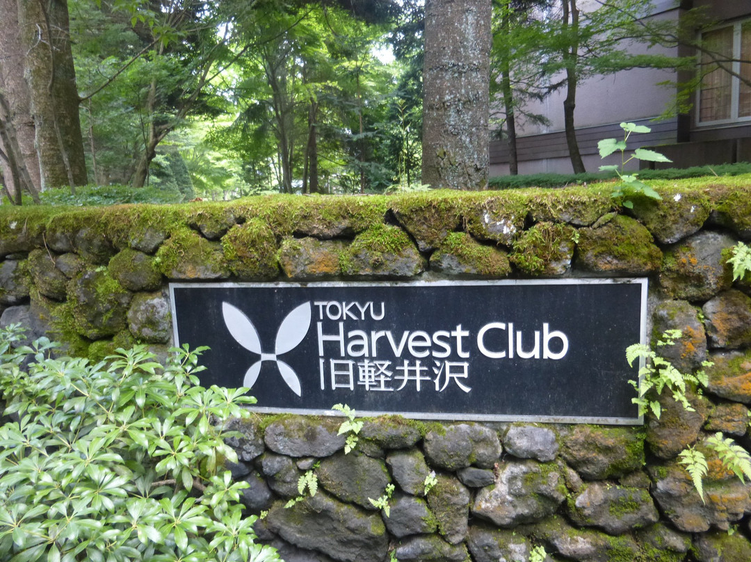 旧轻井泽丰收季酒店主图