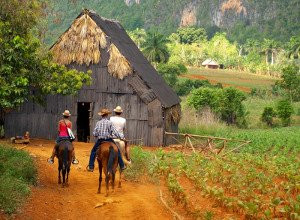 Horseback Tour景点图片
