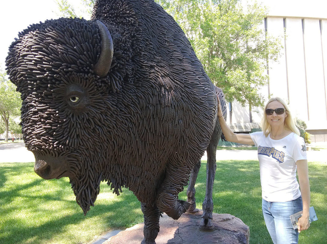 Buffalo Statue-俾斯麦必去景点