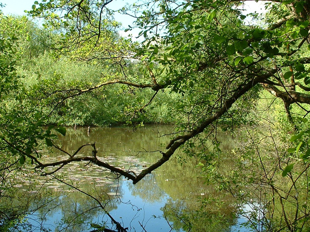 Sandgate Park-Storrington必去景点