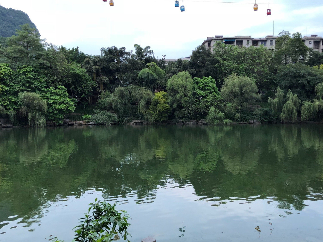 鱼峰公园景点图片