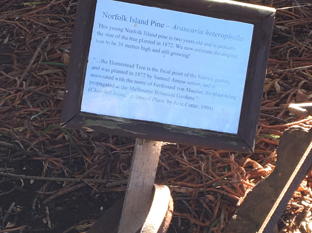 Amess House-菲利普岛必去景点