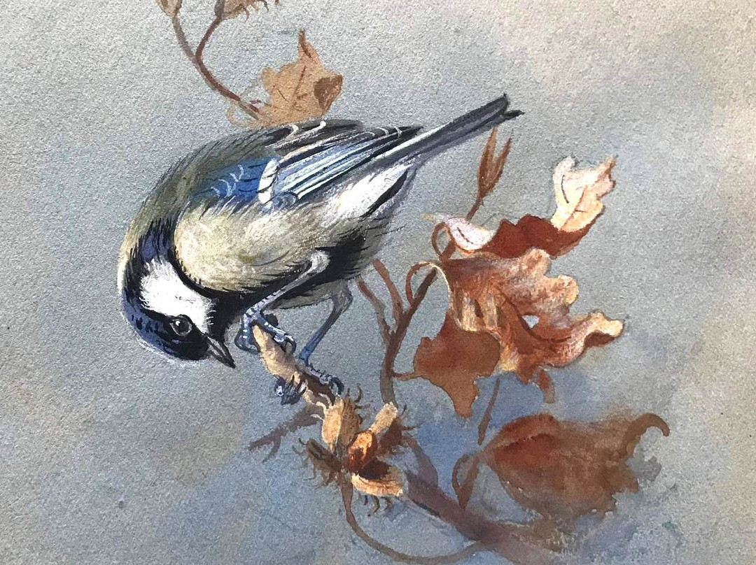The Swan Gallery-舍伯恩必去景点