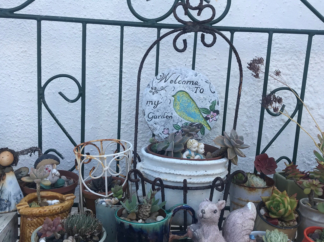 Stroke One Inn主图