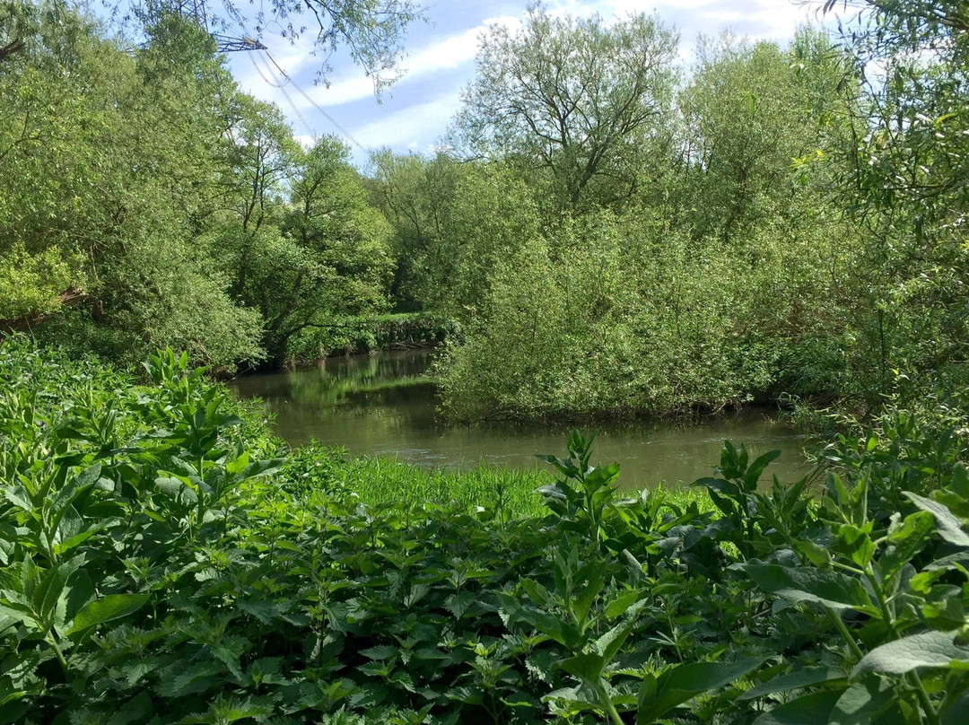 Fishers Green Nature Reserve景点图片