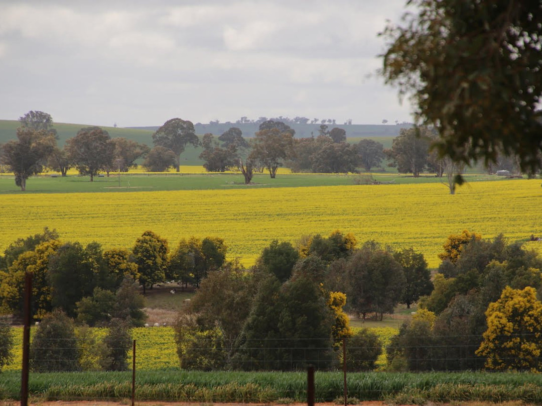 Glencara - Home of the Rustic Maze & Country Garden-Monteagle必去景点