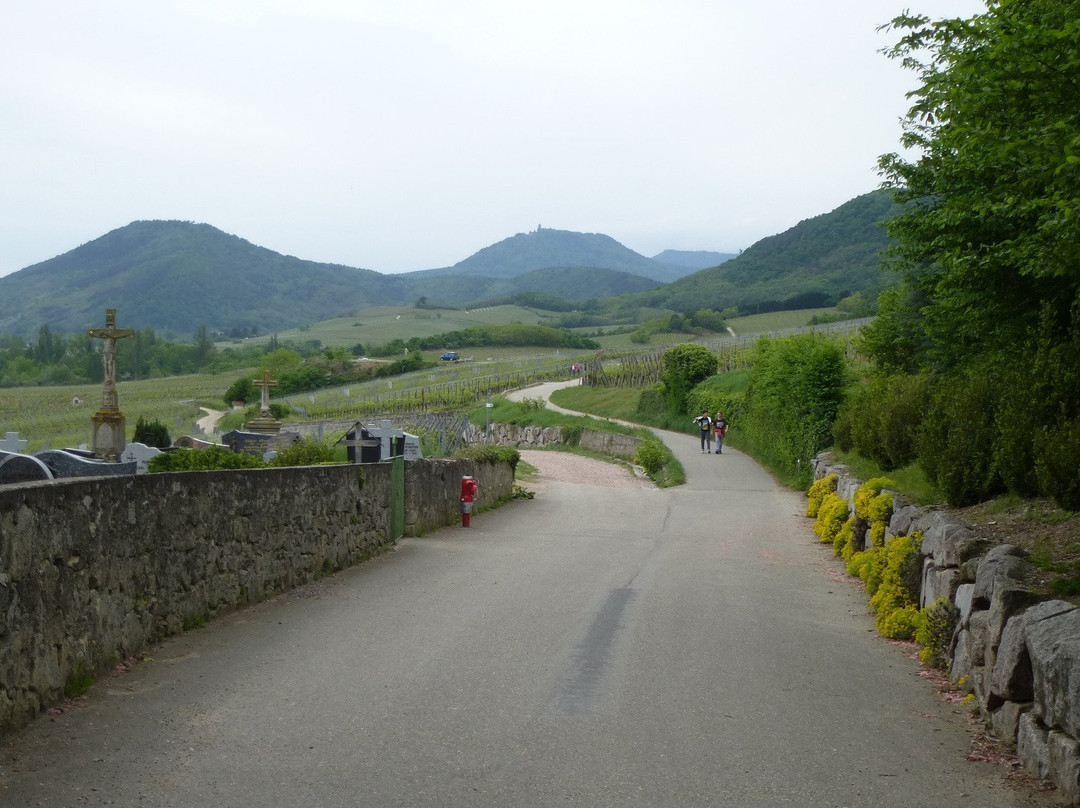 Scherwiller旅游攻略图片