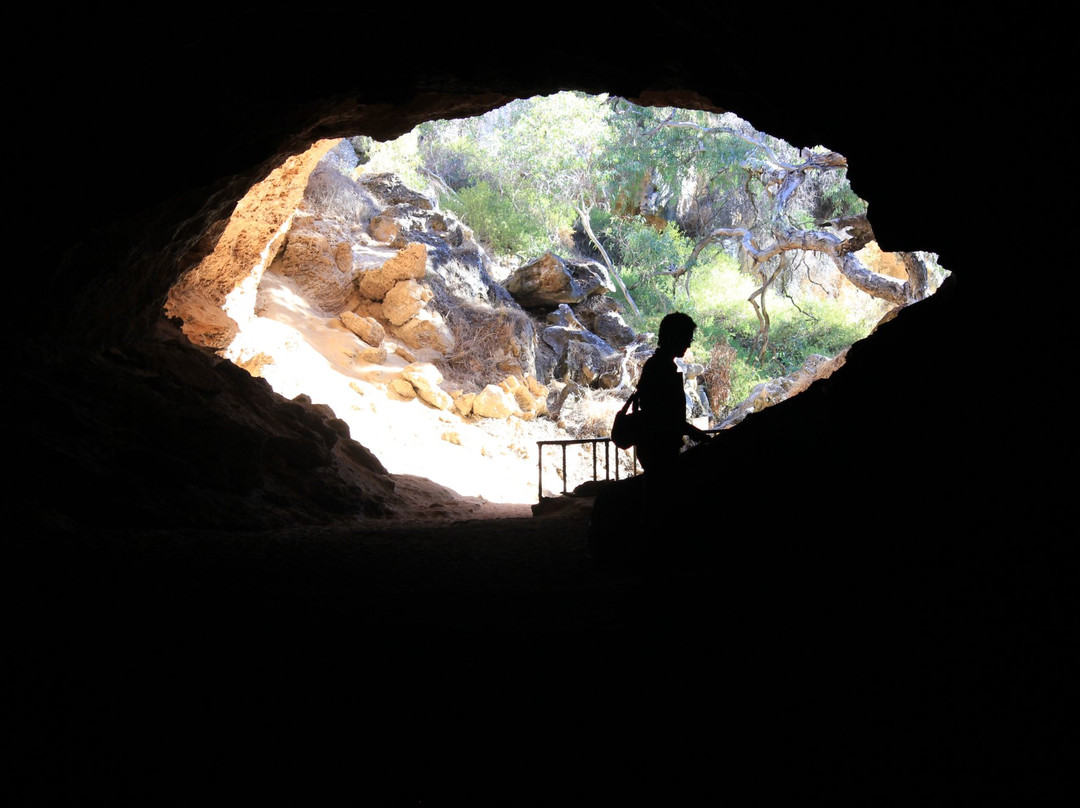 Drovers Cave National Park景点图片