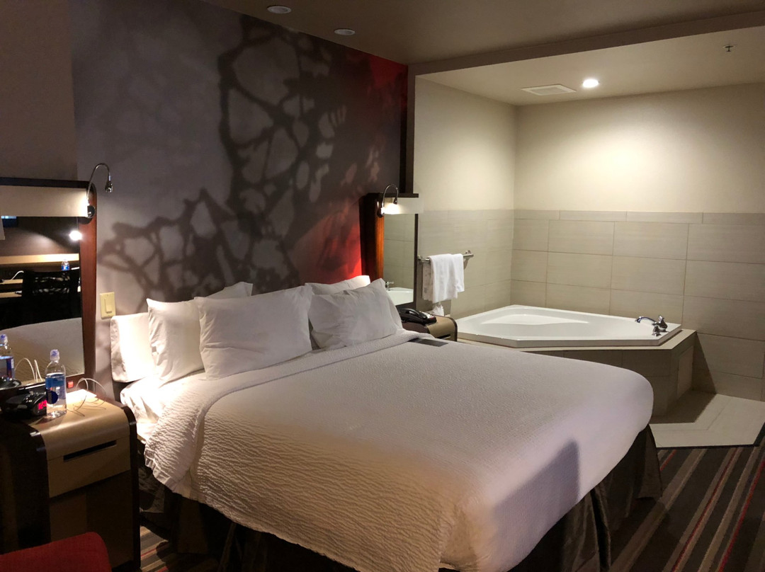 Courtyard by Marriott Dallas DFW Airport North/Grapevine主图