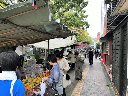 Thursday City-高知市必去景点