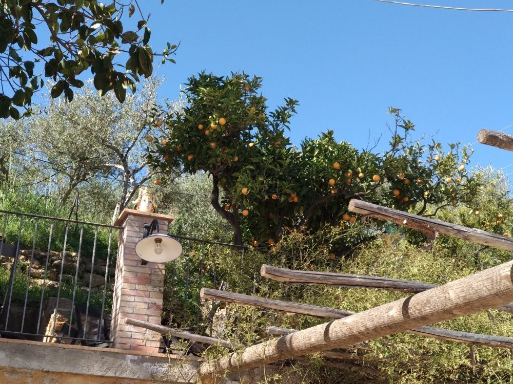 B&B Parco dei Templi主图