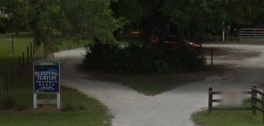 Sleeping Turtles Preserve North-威尼斯必去景点