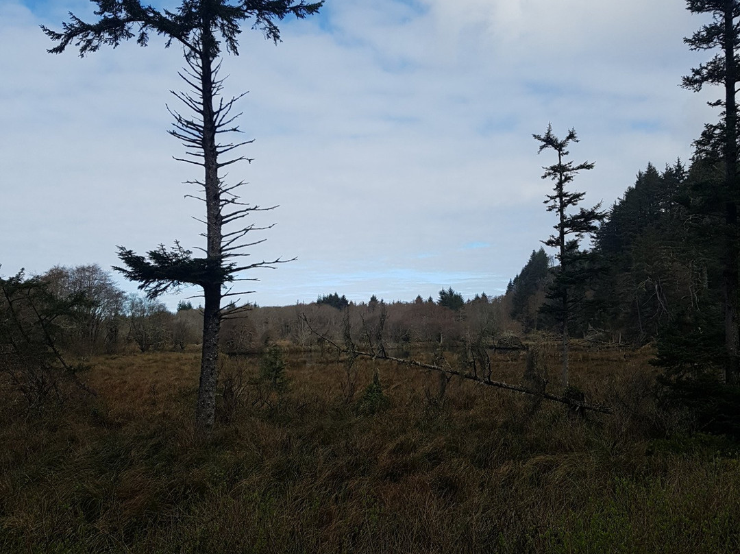 Discovery Trail-长滩必去景点