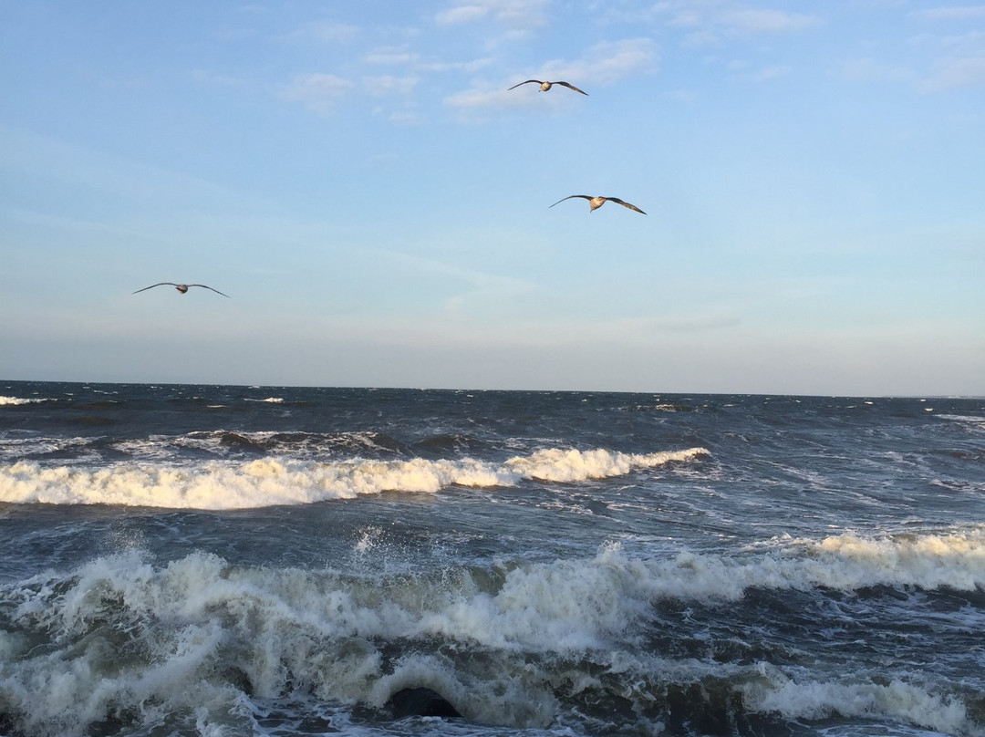 Royal Tulip Sand Kołobrzeg by Zdrojowa主图