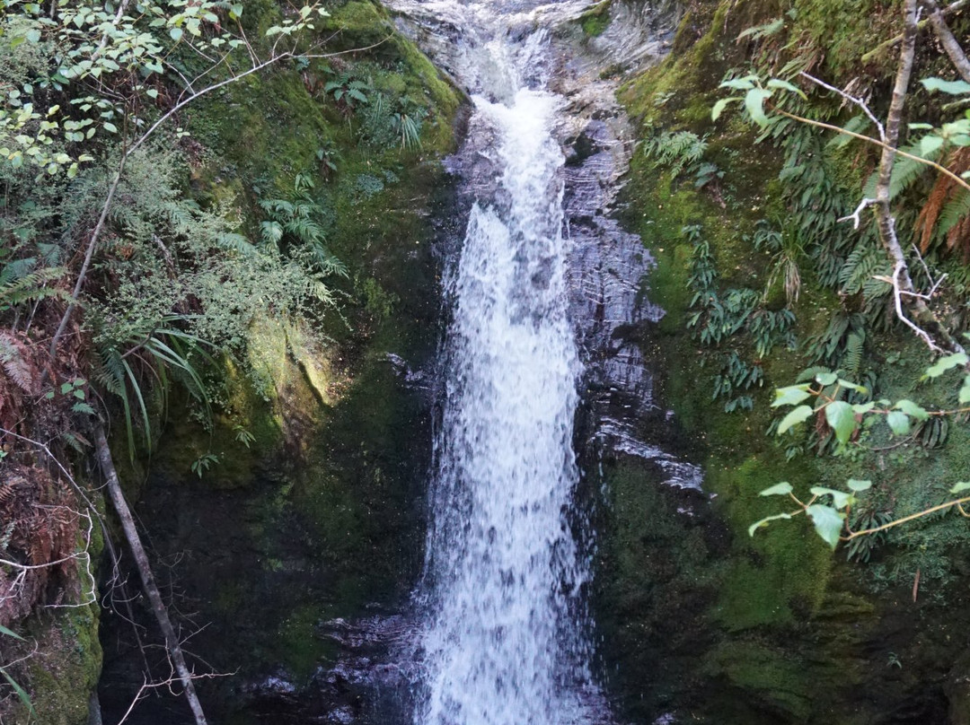 Mt Crichton Loop Track景点图片