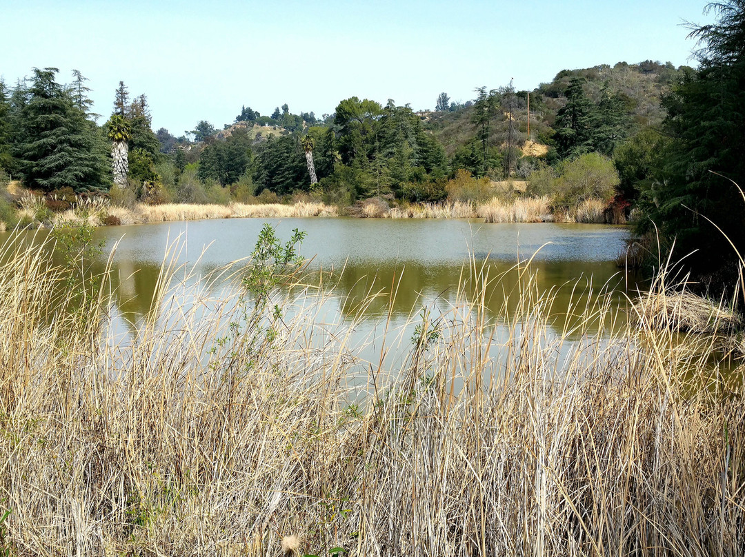 Franklin Canyon Park景点图片