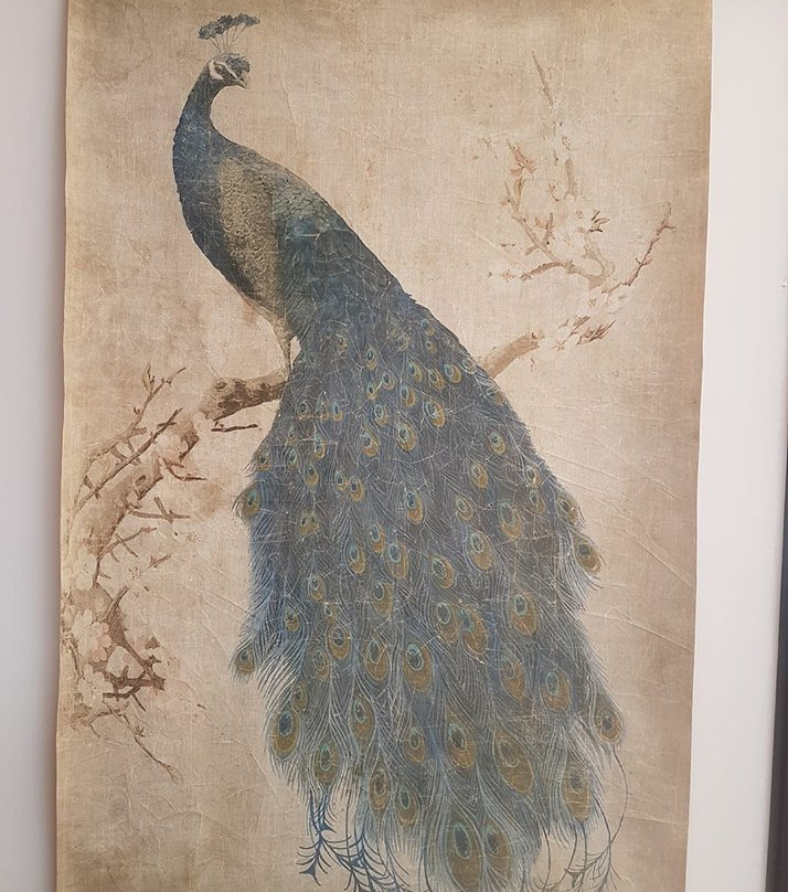 Willy Wagtail Homewares-Boambee必去景点