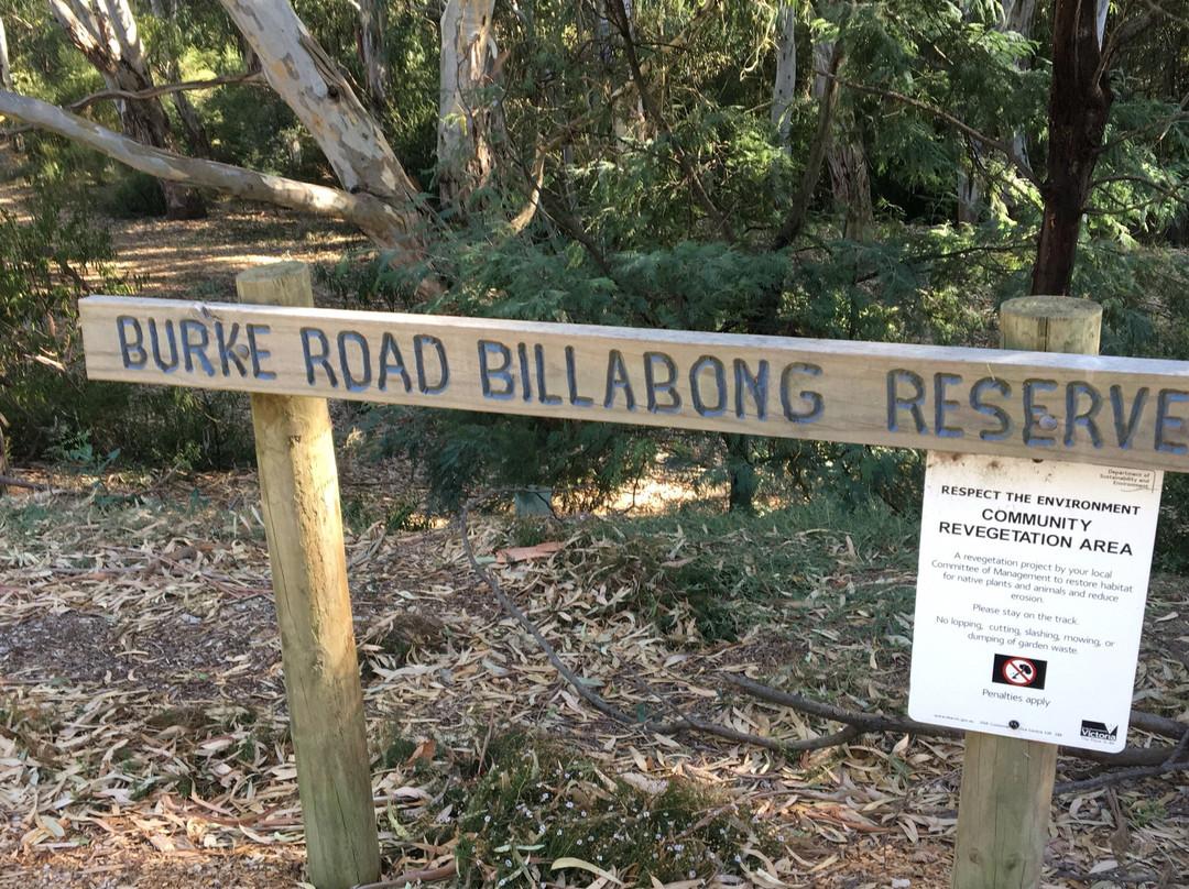 Burke rd billabong reserve-Kew East必去景点